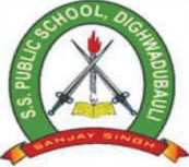 S S Public School